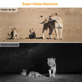 Cámara TRAMPA/EXTERIORES HD 1080p 20MP c/Detección de Movimiento, Visión Nocturna y Duración de 6 meses (Camuflada)