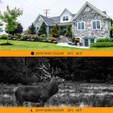 Cámara TRAMPA/EXTERIORES WiFi + BT HD 1080p 20MP IP66 c/Detección de Movimiento, Visión Nocturna y Duración de 6 meses (Camuflada)