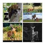 Cámara TRAMPA/EXTERIORES WiFi + BT HD 1080p 20MP IP66 c/Detección de Movimiento, Visión Nocturna y Duración de 6 meses (Camuflada)